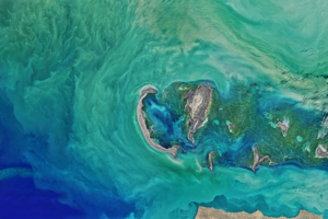 North Caspian Sea NASA 4K 8K5754813481 300x200 - North Caspian Sea NASA 4K 8K - Sea, North, NASA, Earth, Caspian